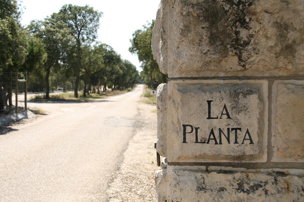 Hotel La Casita De La Planta Quintanilla de Onésimo Zewnętrze zdjęcie